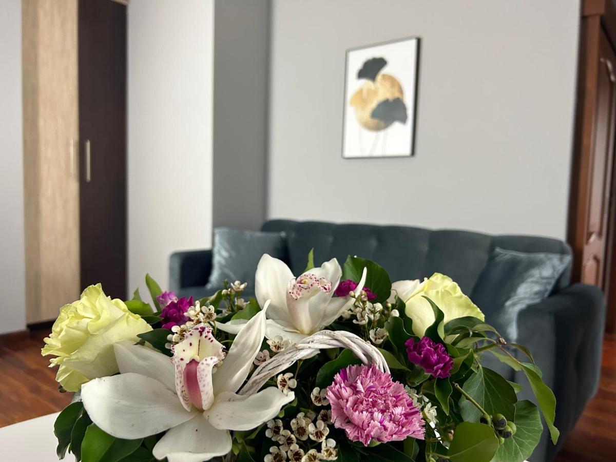 Mala Italia Apartments Wroclaw Bagian luar foto